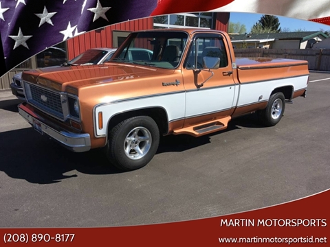1973 Chevrolet C/K 10 Series for sale at Martin Motorsports in Star ID